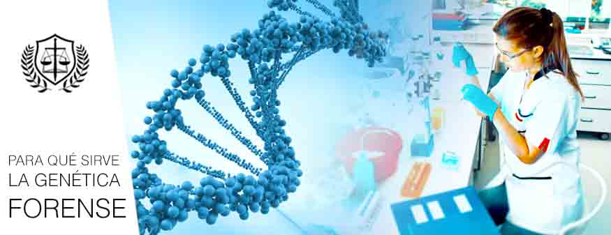 PARA QUE SIRVE LA GENETICA FORENSE