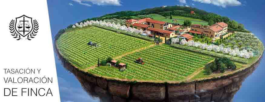 TASACION Y VALORACION FINCA RUSTICA