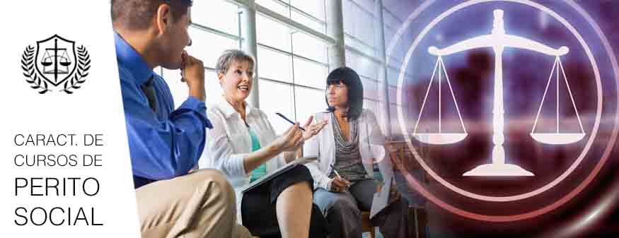 Caracteristicas cursos peritaje social