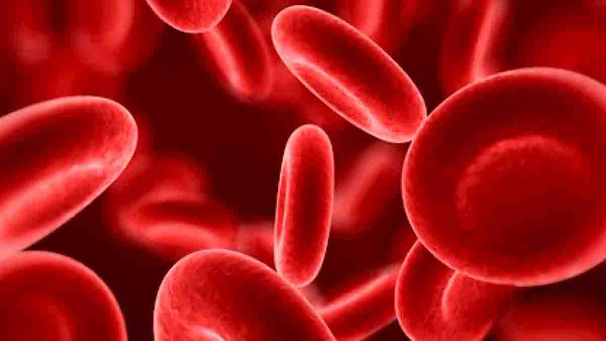 Informe pericial en Hematología. Análisis y valores normales Informe pericial en Hematología. Análisis y valores normales