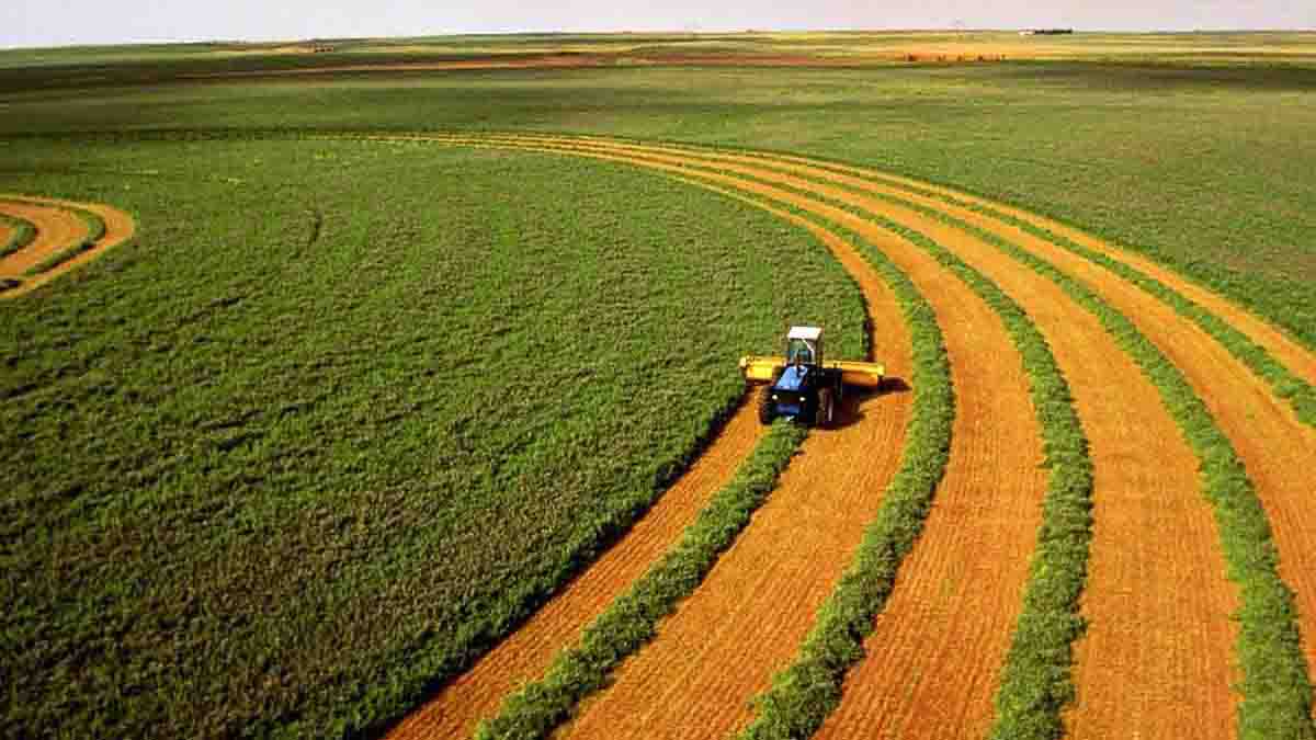 En una empresa de Cultivos Varios se realizó un experimento de campo para
conocer el comportamiento del rendimiento de un cul