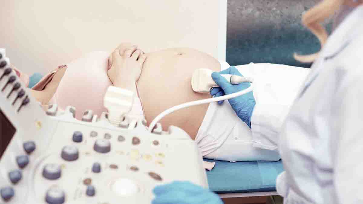 Perito en Obstetricia - Gestación, embarazo, parto, riesgo