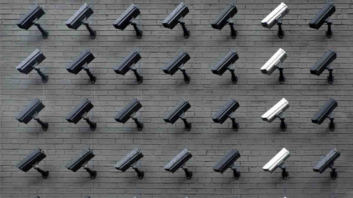 Perito en Derecho a la Intimidad: vulneración de privacidad