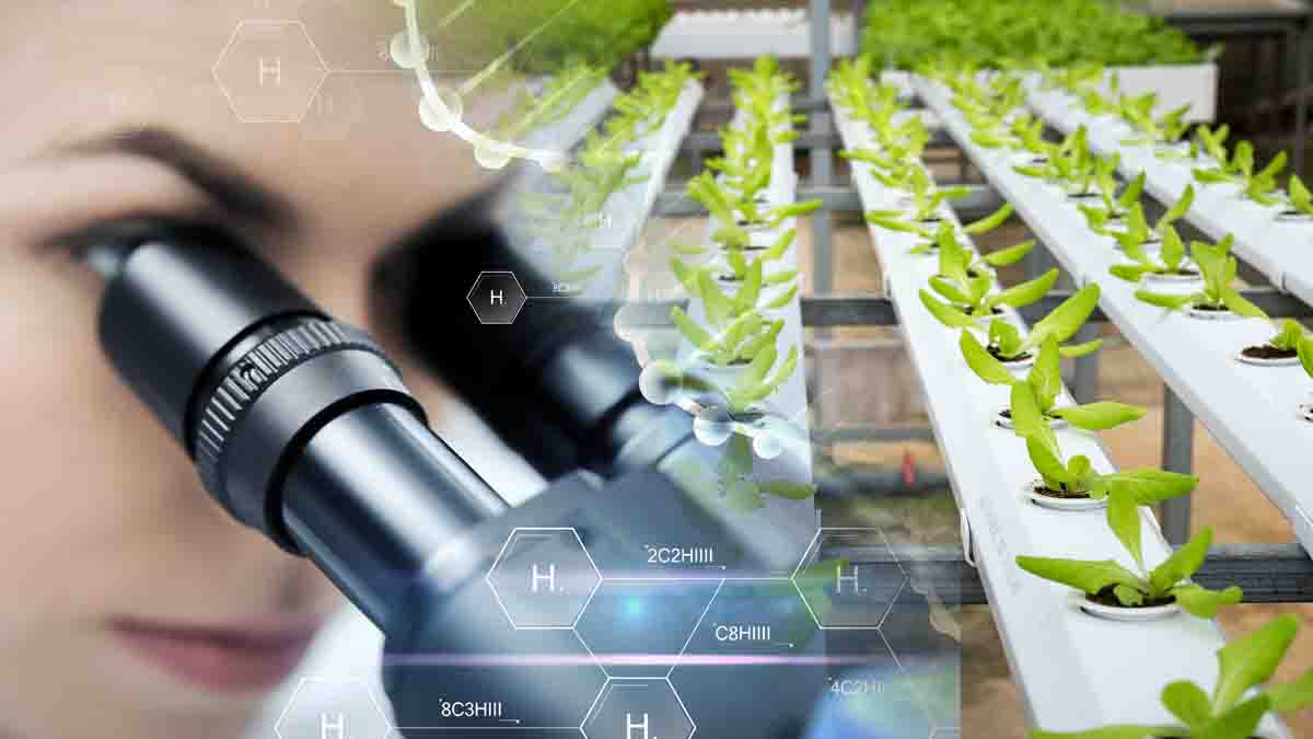 Perito en Manipulación Genética de Plantas y mejora agraria