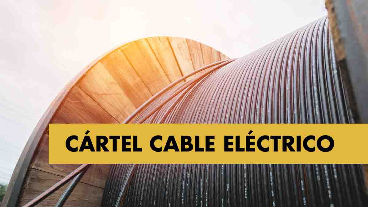 Informe pericial del Cártel del cable eléctrico y el cálculo de sobrecostes