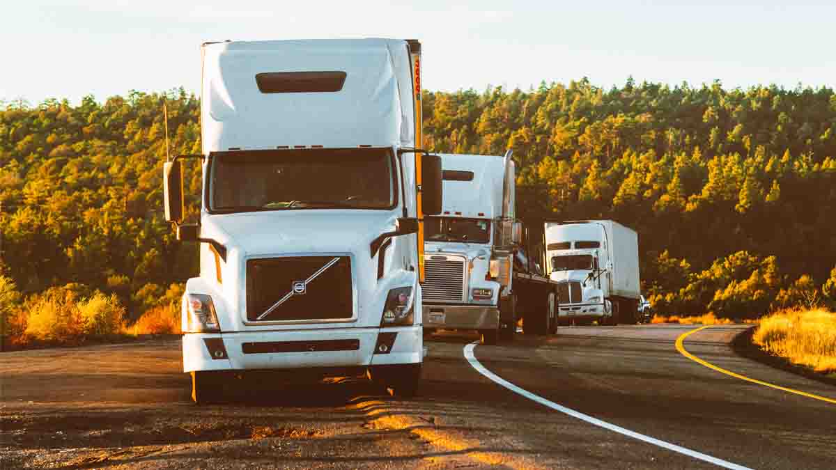 Perito en Transporte en Camión: mercancía y carga