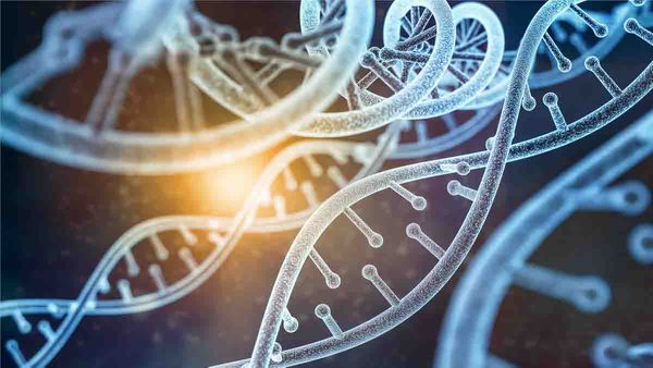 Estudio de ADN: La prueba pericial que puede hacer ganar un juicio